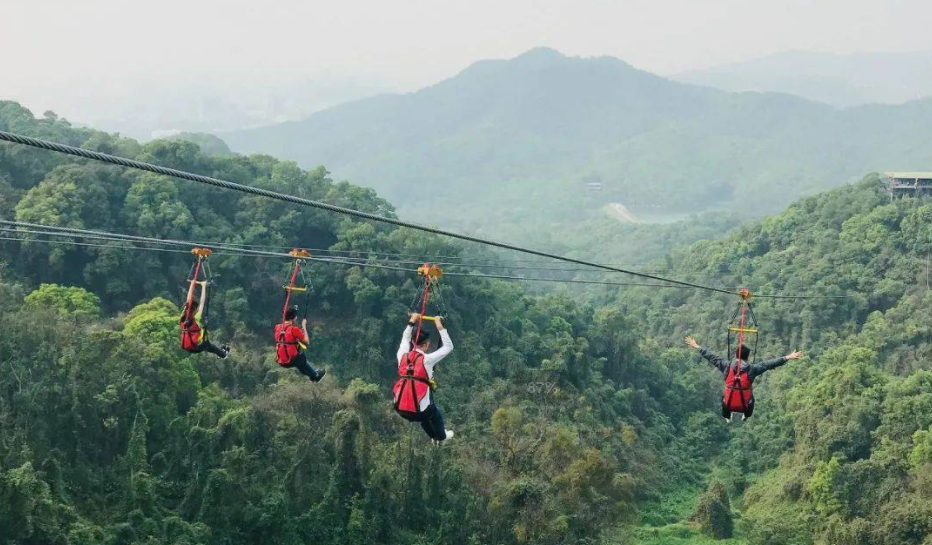 適合森林公園的游樂項目叢林滑索——簡單好玩，成本還低
